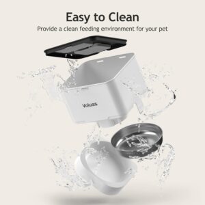 Automatic Cat Feeders - Image 2